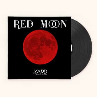 record-sleeve-11